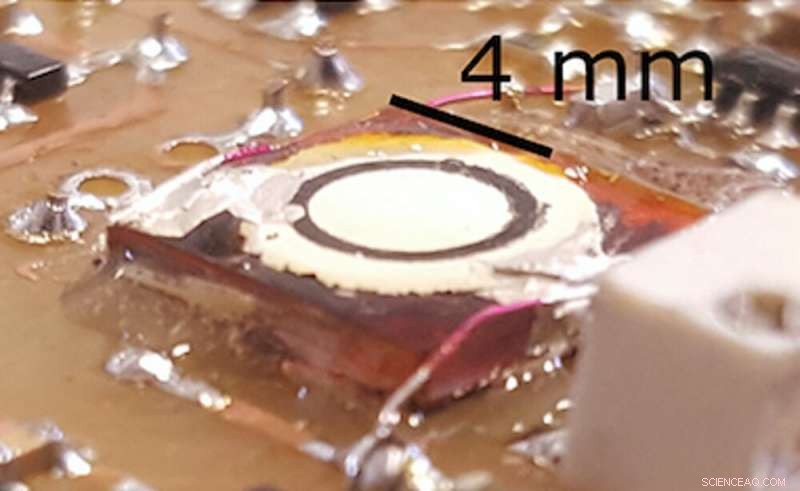 Lab Breakthrough: 3D‑Printed Microphone Paves the Way for Future Tech