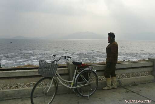 North Korea develops sanction‑resistant tidal and synthetic fuel technologies