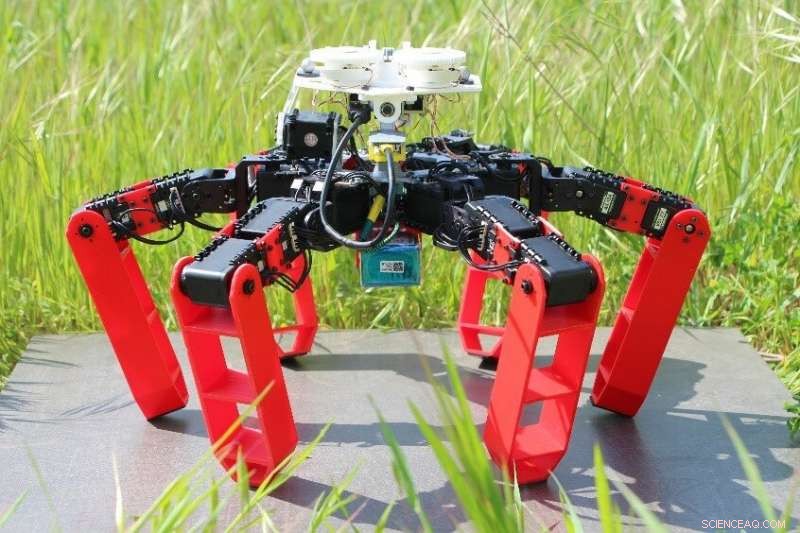 Revolutionary Ant-Inspired Robot Navigates Without GPS
