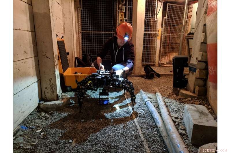 Optimizing Legged Robot Posture for Confined Space Navigation