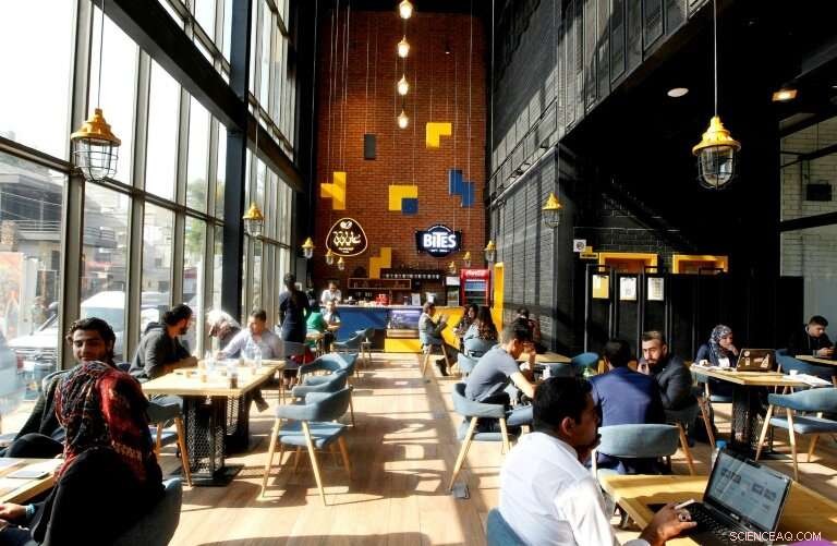 Iraqi Youth Spark Startup Innovation to Combat Unemployment