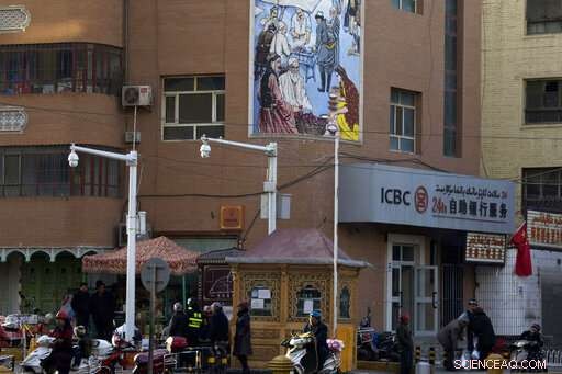 Inside China’s Surveillance Database: Revealing the Extent of State Monitoring