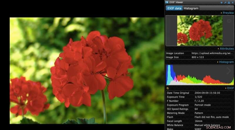 How to Spot and Avoid Fake Images and Videos Online