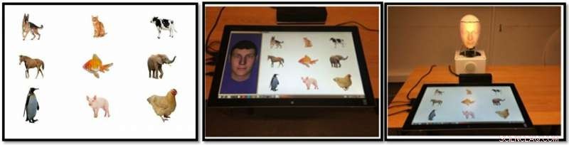 Robots as Language Learning Partners: Evaluating Their Effectiveness