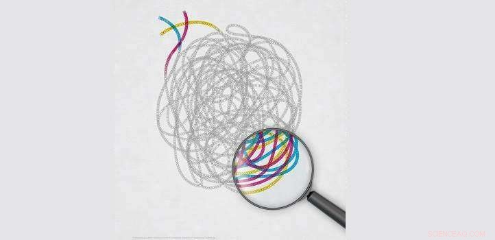 Causal Disentanglement: Pioneering the Next Frontier in AI