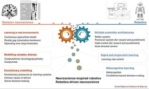 Brain‑Inspired AI: Transforming Robotics with Human‑Like Decision Making