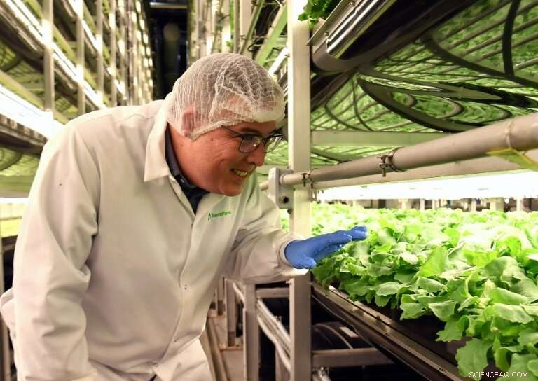 Technology Boosts Efficiency for New York Vertical Farmers