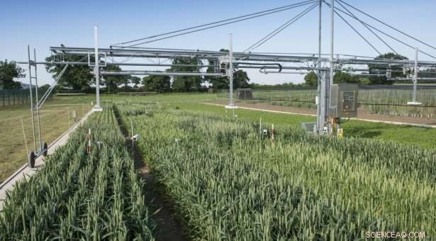 Revolutionary Big Data Tool Powers Smart Farming