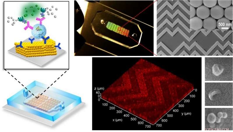 Revolutionary Lab-on-a-Chip Accelerates Cancer Detection, Reduces Costs, and Minimizes Invasiveness