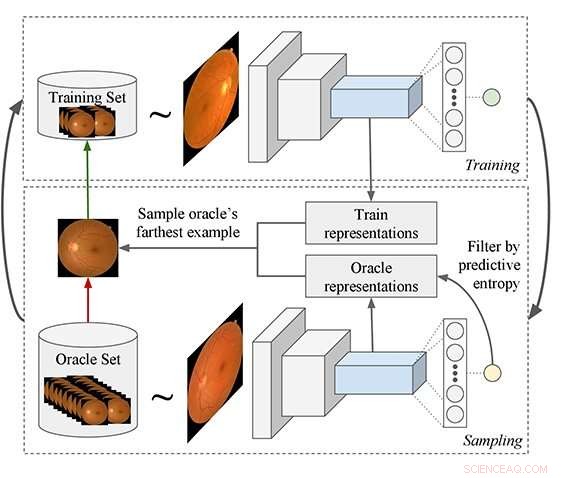 Leveraging Minimal Data for Accurate Disease Recognition