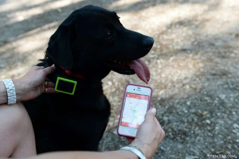 How Mobile Technology Is Revolutionizing Pet Care