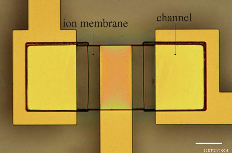 High‑Speed Flexible Ionic Transistors Power Next‑Gen Bioelectronic Devices