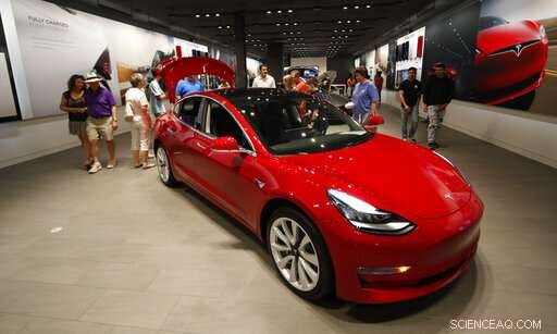 Tesla s Store Closures Trigger Share Drop: Market Reaction Explained