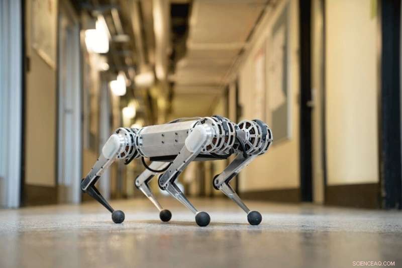 MIT’s Mini Cheetah Robot Performs Stunning Backflip, Showcasing Advanced Biomimetic Design