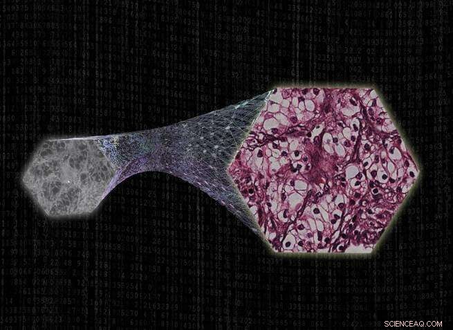 AI Revolutionizes Pathology: Digital Staining Saves Time, Labor, and Costs