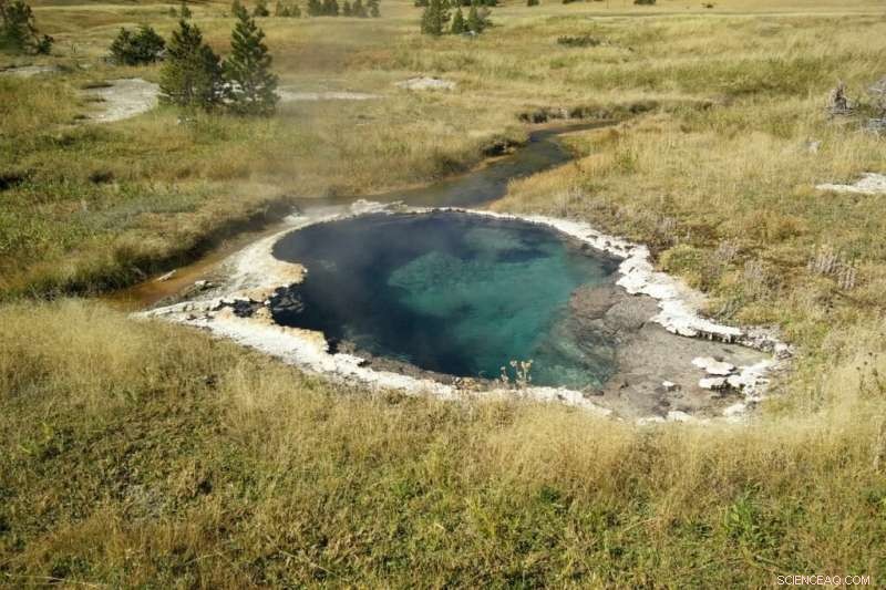 Uncovering Electricity-Consuming Bacteria in Yellowstone s Hot Springs