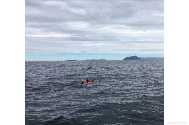 Smart AUVs Map Phytoplankton in 3‑D: Advancing Ocean Life Insights