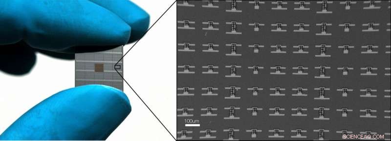 Cell‑Sized Micro‑Robots Pave Way for Unprecedented Exploration