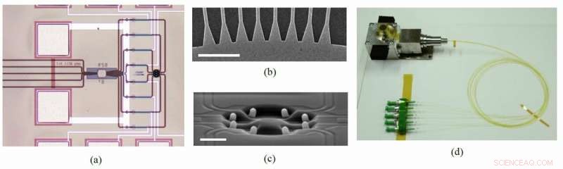 Maximizing Light s Power: Revolutionizing Optical Communications with Vortex Technology