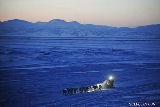 High-Tech Innovations Bring Fans Closer to the Iditarod Trail Race