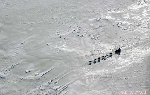 High-Tech Innovations Bring Fans Closer to the Iditarod Trail Race