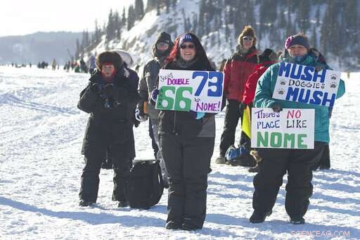 High-Tech Innovations Bring Fans Closer to the Iditarod Trail Race