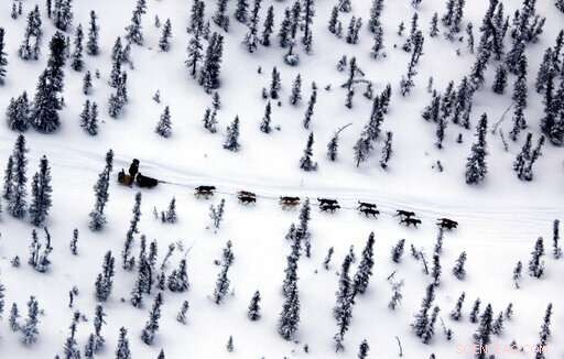 High-Tech Innovations Bring Fans Closer to the Iditarod Trail Race