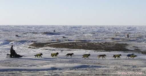 High-Tech Innovations Bring Fans Closer to the Iditarod Trail Race