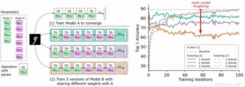 Preventing Multi-Model Forgetting: A Novel Strategy for Deep Neural Networks