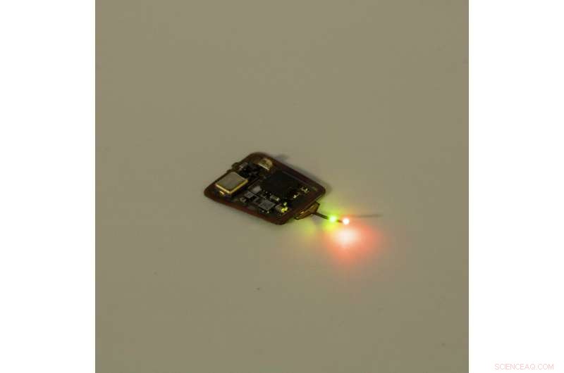 Revolutionary Miniature Implant Accurately Measures Internal Tissue Oxygen Levels