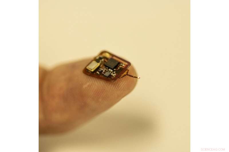 Revolutionary Miniature Implant Accurately Measures Internal Tissue Oxygen Levels