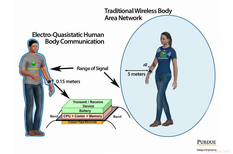Your Body’s Built‑In Network Is Now Secure—No More Hacking Risks