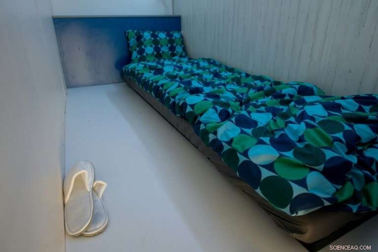 Barcelona Debuts Controversial Bee-Hive Pods: A Modern Housing Experiment