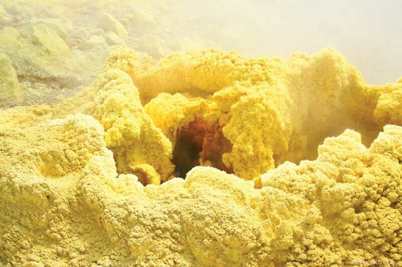 Next-Gen Batteries: Powering Your Phone and a Greener Future