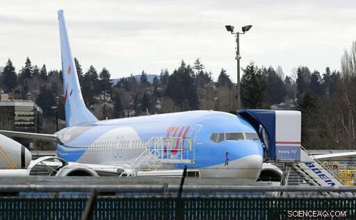 US & Canada Ground Boeing 737‑Max 8s After Ethiopia Crash – Updated Report