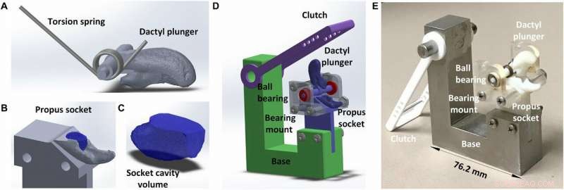 Engineers Harness Snapping Shrimp Mechanics to Generate Underwater Plasma
