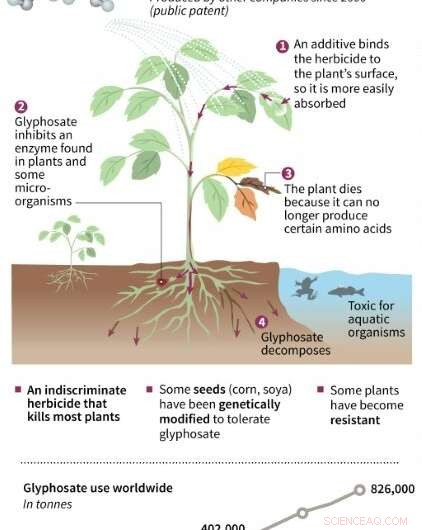 Bayer Faces Investor Exodus Amid Second Glyphosate Trial Verdict