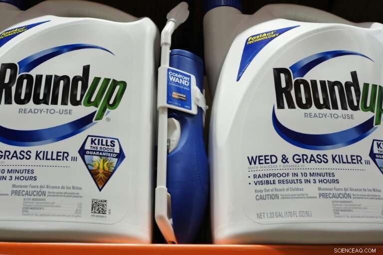 Bayer’s $63B Monsanto Merger: 5 Key Facts You Need to Know