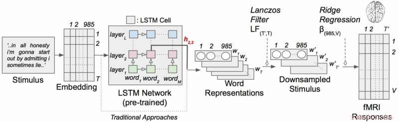 How Brain-Inspired AI Advances Neuroscience: Reciprocal Insights Between AI and the Brain