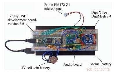 Affordable, Energy‑Efficient Acoustic Monitoring for Biodiversity