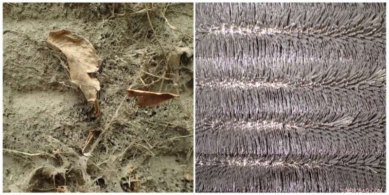 Why You Don t Need to Clean Your Air Conditioner Condenser Each Spring