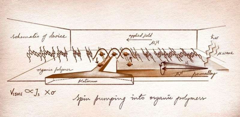 Revolutionizing Spin Transport: New Advances in Organic Semiconductors