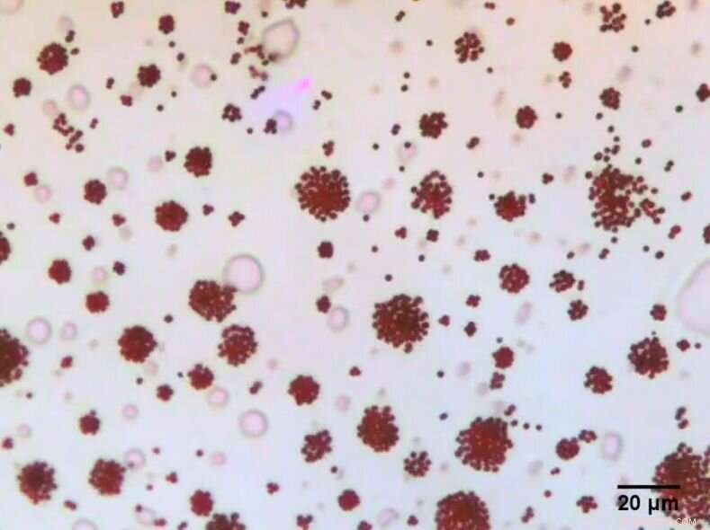 Advanced Swarming Microrobots Capable of Forming Multiple Shapes