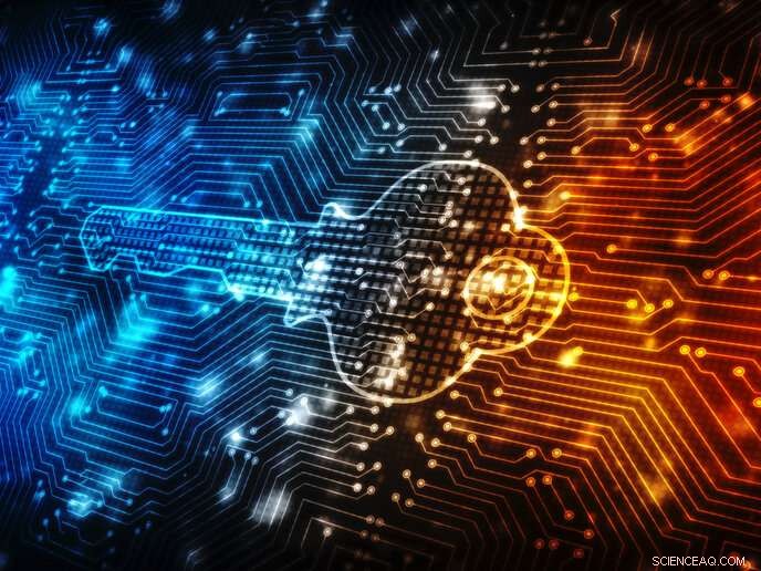 Advanced Tools Combat Online Data Misuse: Strengthening Digital Privacy