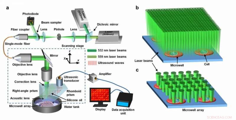 Laser Technology Enables Precise Examination of Cancer Cells