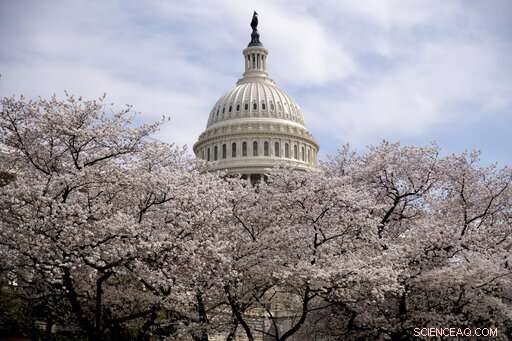 New Bill Aims to Empower Publishers in Negotiations with Tech Giants