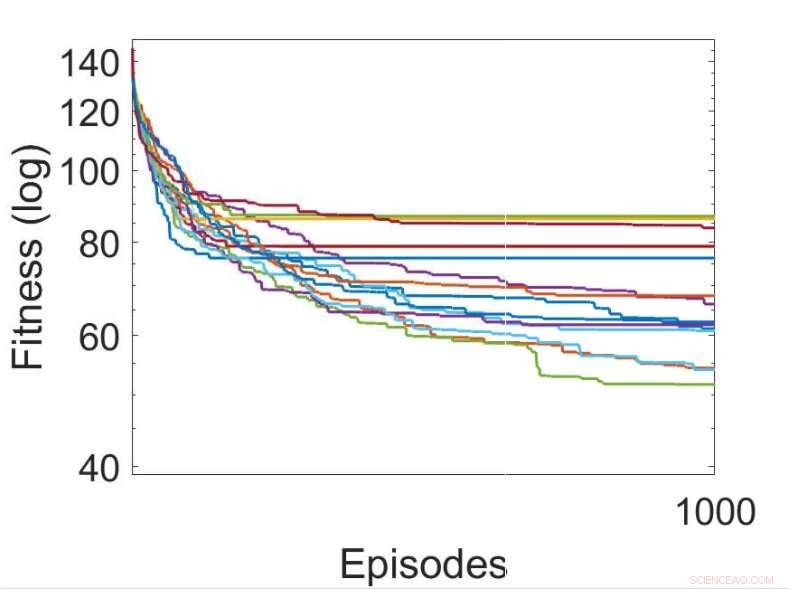 Bio-Inspired Techniques to Boost Learning in Artificial Neural Networks