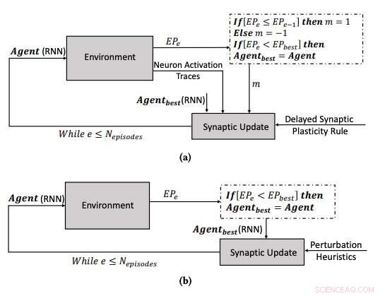 Bio-Inspired Techniques to Boost Learning in Artificial Neural Networks
