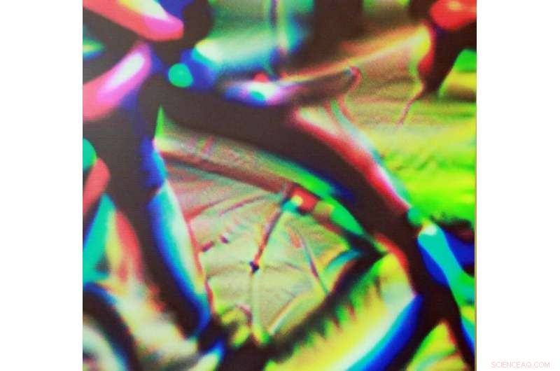 Engineers Unveil Advanced Techniques to Mislead Vehicle Object Detection Systems