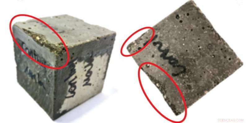 Bacterial Solution to Prevent Deicer‑Induced Road Degradation